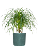 Pot plain cylinder bleue