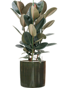 Pot plain cylinder verte