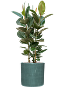 Pot plain cylinder bleue