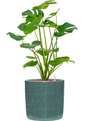 Pot plain cylinder bleue