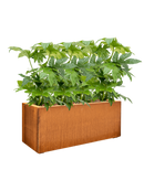 Pot corten steel rectangle 