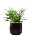 Pot balloon darcy noire