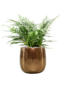 Pot balloon darcy d'or