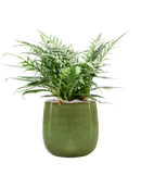 Pot balloon darcy verte