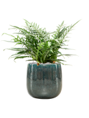 Pot balloon darcy bleue