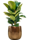 Pot balloon darcy d'or