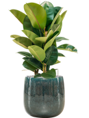 Pot balloon darcy bleue