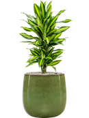 Pot balloon darcy verte