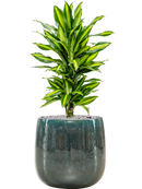 Pot balloon darcy bleue