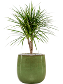 Pot balloon darcy verte