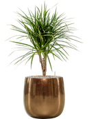 Pot balloon darcy d'or