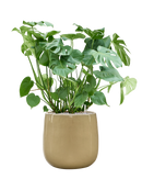 Pot balloon darcy beige