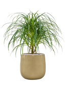 Pot balloon darcy beige