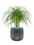 Pot balloon darcy bleue