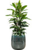 Pot balloon darcy bleue