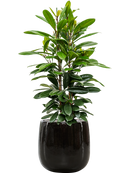 Pot balloon darcy noire