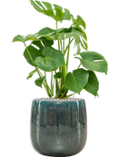 Pot balloon darcy bleue