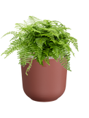 Pot jazz cylinder rouge