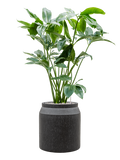 Pot raindrop cylinder anthracite