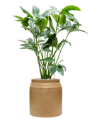 Pot raindrop cylinder marron