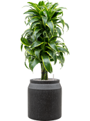 Pot raindrop cylinder anthracite