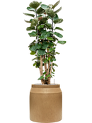 Pot raindrop cylinder marron