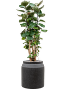 Pot raindrop cylinder anthracite