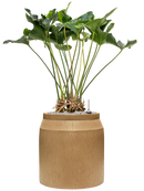 Pot raindrop cylinder marron