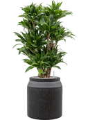 Pot raindrop cylinder anthracite