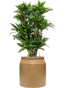 Pot raindrop cylinder marron