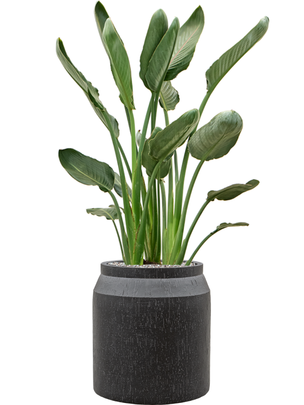 Pot raindrop cylinder anthracite