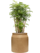 Pot raindrop cylinder marron