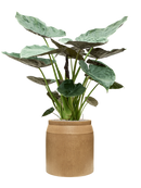 Pot raindrop cylinder marron