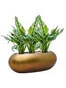 Pot metallic oval d'or