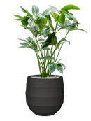 Pot bordo balloon anthracite