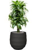 Pot bordo balloon anthracite