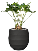 Pot bordo balloon anthracite