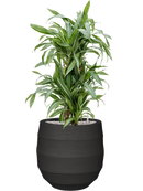 Pot bordo balloon anthracite