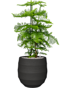 Pot bordo balloon anthracite