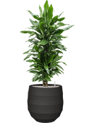 Pot bordo balloon anthracite