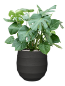 Pot bordo balloon anthracite