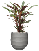 Pot bordo balloon grise