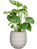 Pot bordo balloon beige