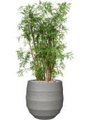 Pot bordo balloon grise