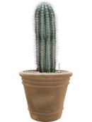 Pot terra cotta couple marron