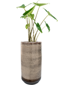 Pot noaz partner marron