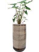 Pot noaz partner marron