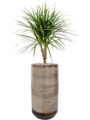 Pot noaz partner marron