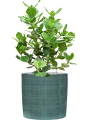 Pot plain cylinder bleue