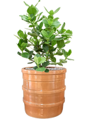 Pot bana cylinder orange